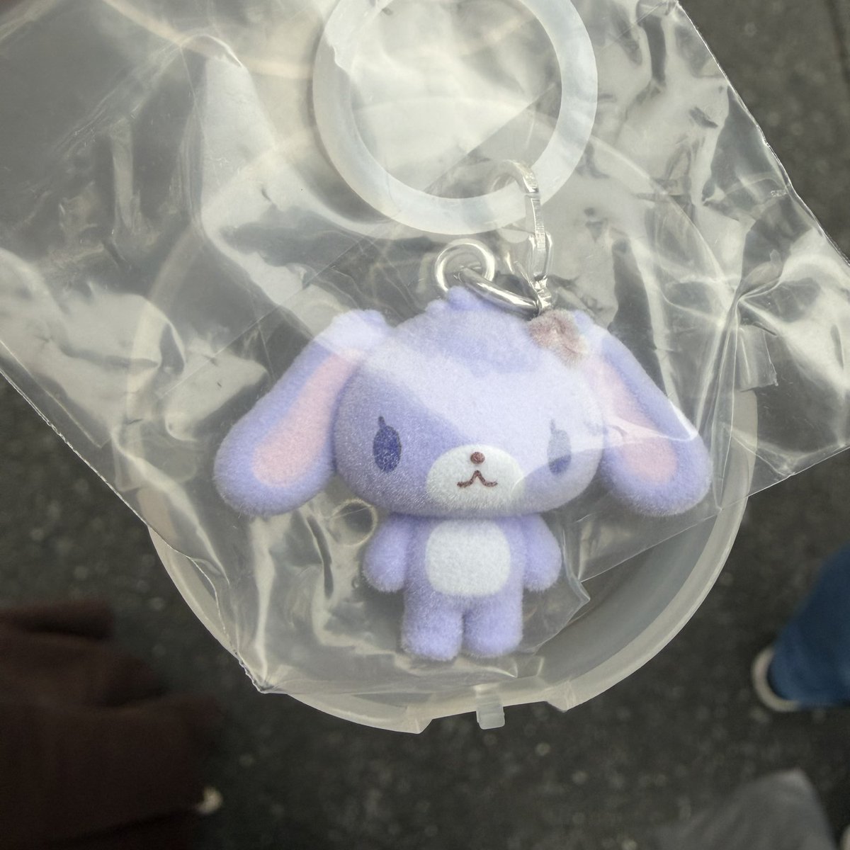 trtrtr0794's tweet photo. シュガーバニーズふわふわめじるしアクセサリー交換

【譲】ブルーベリーうさ
【求】ストロベリー＞もも＞しろ＞くろ＞はな＞ミント

池袋におりますので、お気軽にご連絡ください。

#ガチャ交換 #めじるし交換 #シュガバニ交換 https://t.co/ahYIFGz4hp
