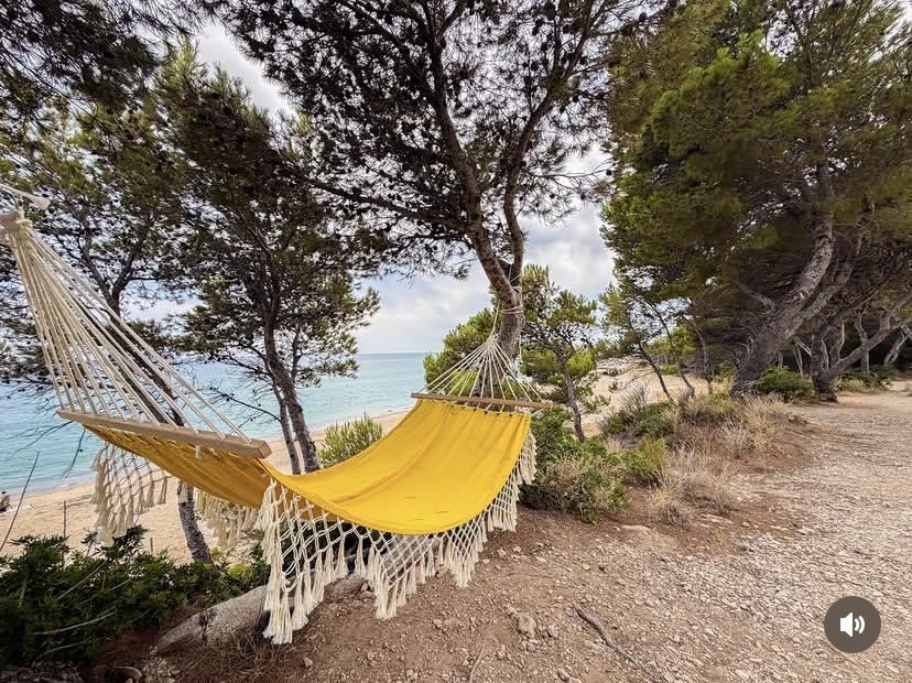 Mar_i_Muntanya's tweet photo. Probablement, l’hamaca millor ubicada del món… ganes de prendre-hi la fresca, oi? Fotos a Instagram: @yosoyderosa
#hospitaletdelinfant #costadaurada #catalunyaexperience #marimuntanya #natura https://t.co/eGZjgzJ9jG