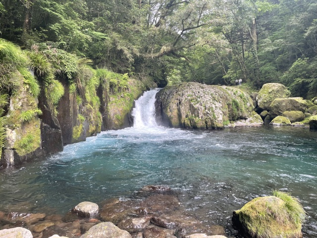 higo_story's tweet photo. おはようございます☀️
志【熊本に住む人が平和に暮らし未来に希望が持てる】を実現すべく本日も熊本の魅力を発信

『菊池渓谷 | 菊池市』

天然のクーラーとも呼ばれる清流の聖地。雨上がりの生命力あふれる瑞々しい新緑と、どこまでも澄み切った川のせせらぎは、心に癒やしをくれます☺️ https://t.co/rCkUfds2VV