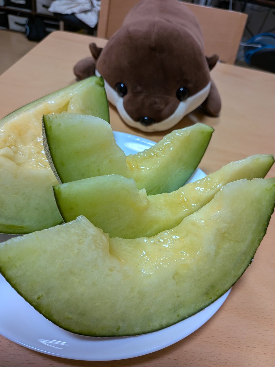 Leaf_Lyre's tweet photo. 四国水族館行ってきた！
カワウソのぬいぐるみ 2等当たって嬉しい!! https://t.co/e62EkUtDTH