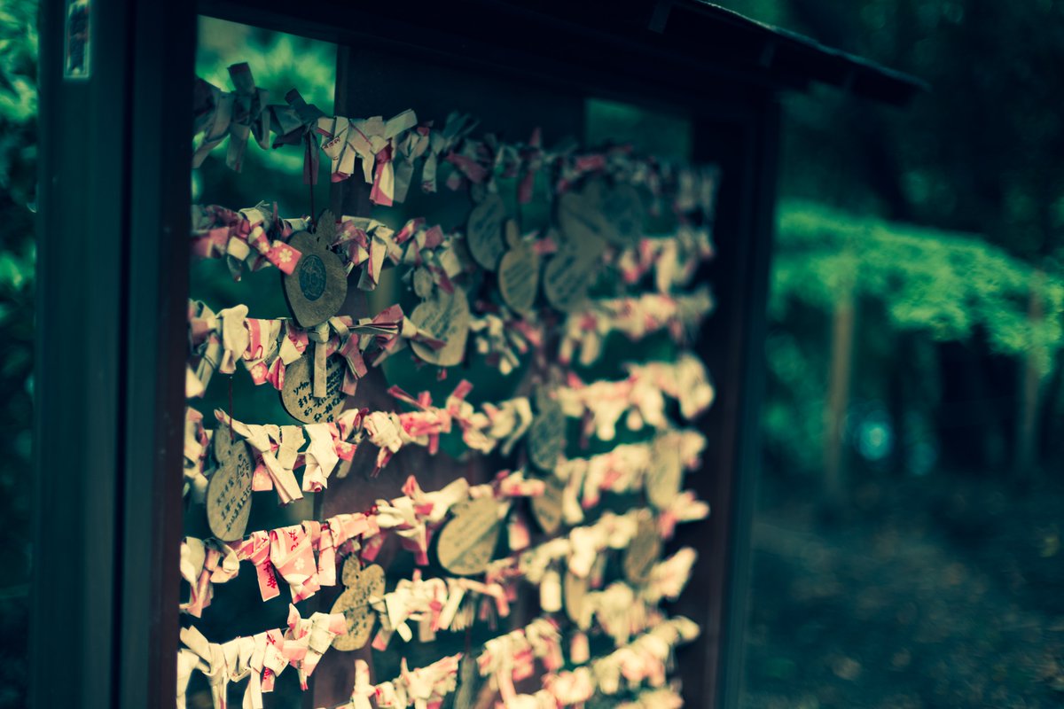 121Revolution's tweet photo. snap

EosR6Markii
RF45mm f1.2 https://t.co/1XAjDw2QB5