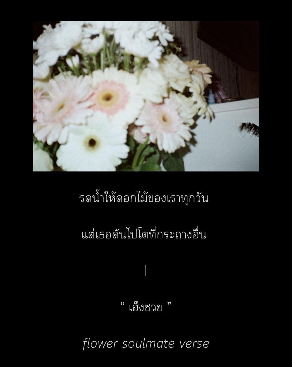 jiwwendy's tweet photo. ขมไม่คายหรือถนนสีชมพู 🙂‍↔️ https://t.co/iZje6ypqUs