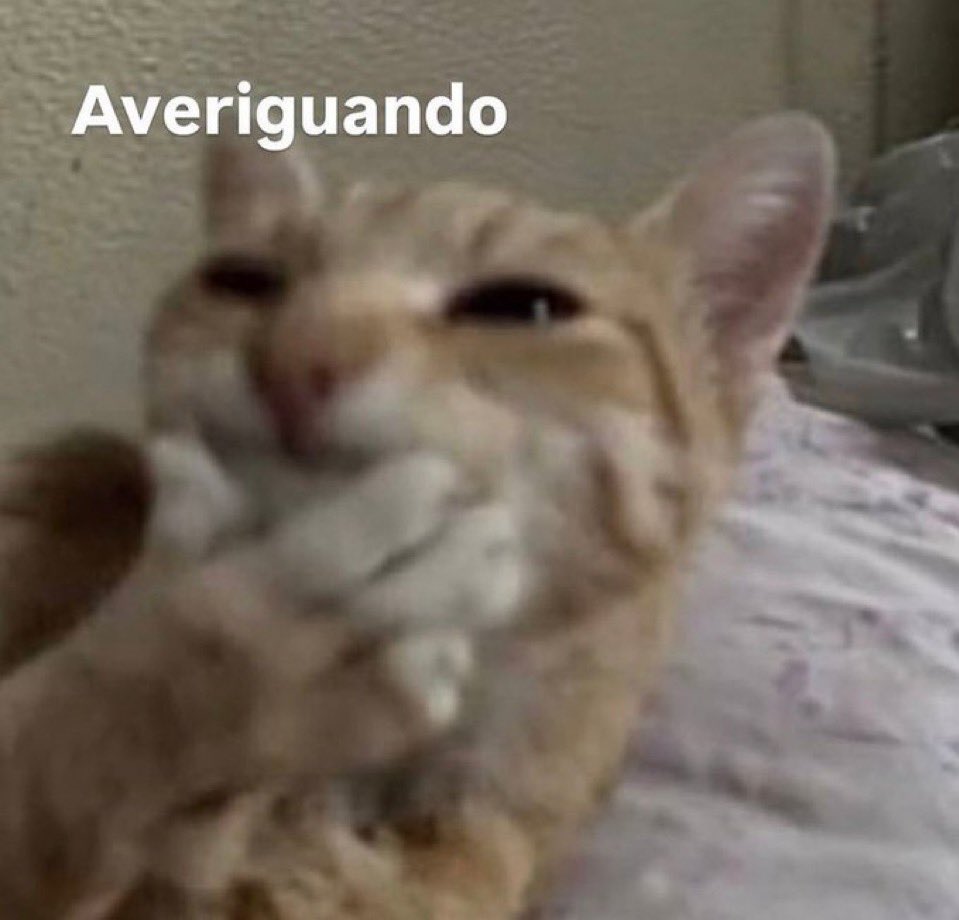 g1org10_'s tweet photo. Tenho três colegas da época da faculdade que eu sinto que elas têm mediunidade/caminho na espiritualidade, mas eu jamais falaria isso pra elas pq é mto chato ser a pessoa que fica dando pitaco na caminhada dos outros!! https://t.co/sEbNMnU0hY