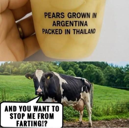 Robbie_Reasons's tweet photo. The whole green scam does not stand up to even the slightest amount of scrutiny or critical thought.

If you think it does tell me why we destroyed our steel industry and sold it to India just to ship steel all the way back?

Or why we closed our gas fields just to import gas from Australia?

Or why we closed our coal mines just to run power stations on wood pellets imported from the USA?

Or why we killed our manufacturing industry just to import products from China?