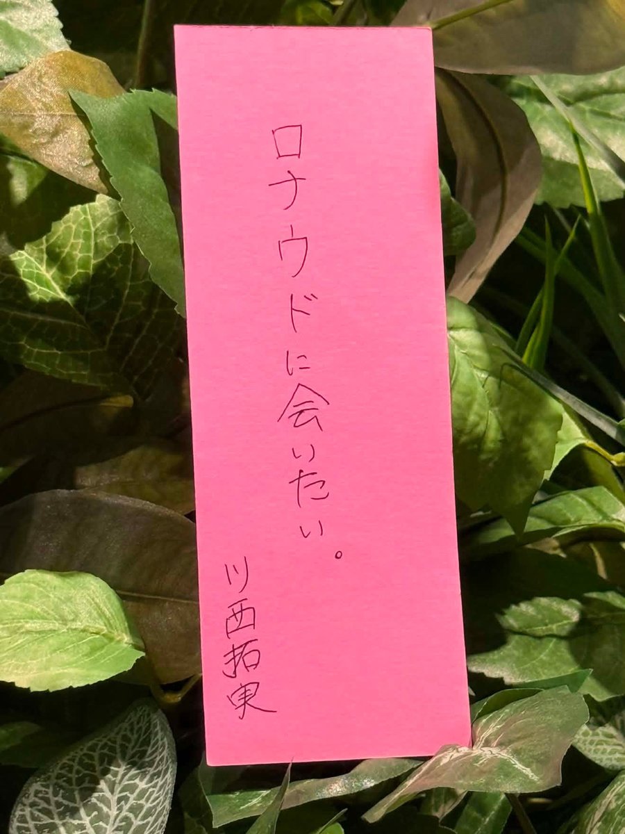 Maa_JO1's tweet photo. たっくんとピアノちゃんの七夕のお願い、何だか似たものを感じるよ🤣💕
どっちも叶いますように…🎋✨ https://t.co/HRK9rgKW0n