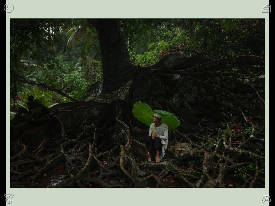 kanxei0067's tweet photo. The duck swims through the stream, making soft quacking sounds. After noticing some insects on the water, it dips its head to catch them individually. Picking Raspberries: The raspberries are spread out. https://t.co/XVq8F9Sts9