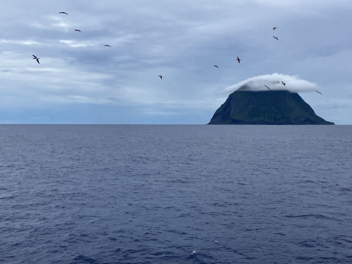 Zebra8823's tweet photo. この前の硫黄島クルーズ、鳥の写真もたく撮れてニヤニヤしているが、個人的にこの写真が1番好きかも
北硫黄島とカツオドリ類
狙ったわけではなく、シャッター押すタイミングでちょうど船首からカツオドリ類の群れが流れ込んだ😁 https://t.co/fO0EhITqoh