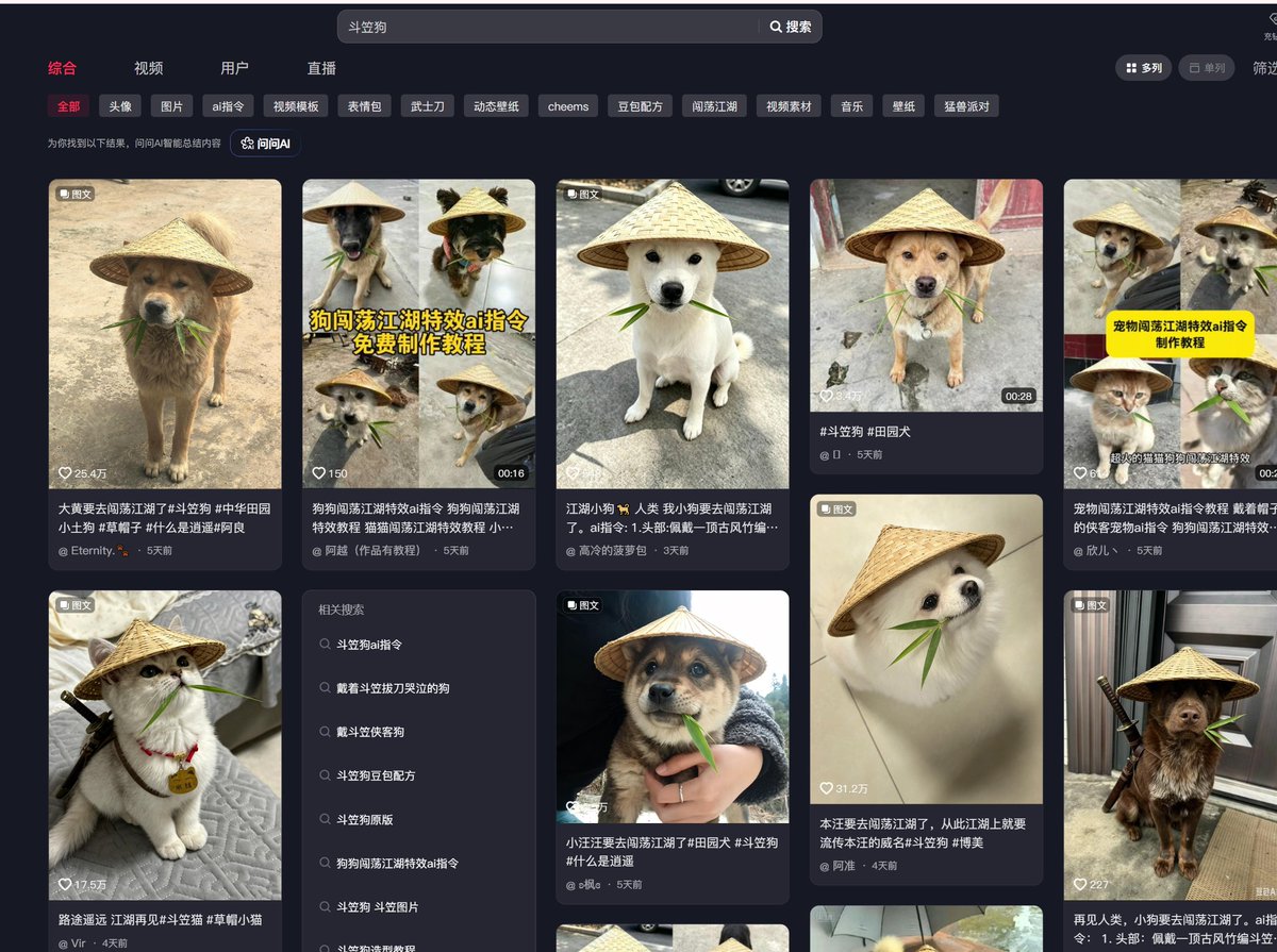 FJOG08's tweet photo. 最近抖音频繁出现了一批带斗笠的狗 

与wif（dogwifhat）叙事一样 不同的是china风格！

而sol得bif已经起飞 试试斗笠狗能否一战？！ https://t.co/o7ou6NaFx1