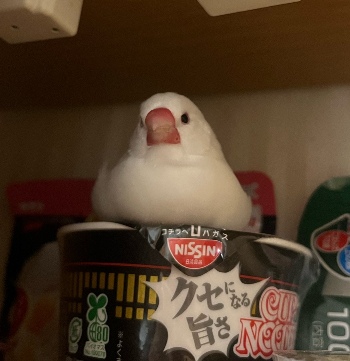 bunchokawaiibot's tweet photo. クセになる旨さ‼️ https://t.co/ErZMnzIwfU