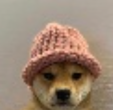 FJOG08's tweet photo. 最近抖音频繁出现了一批带斗笠的狗 

与wif（dogwifhat）叙事一样 不同的是china风格！

而sol得bif已经起飞 试试斗笠狗能否一战？！ https://t.co/o7ou6NaFx1
