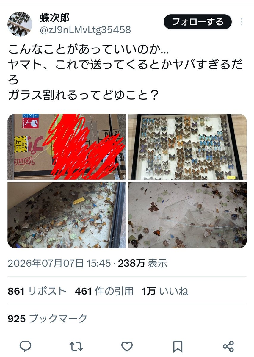 fc3s1222's tweet photo. 元クロネコです

全国のヤマト、佐川、郵便、その他の配送業者を舐めすぎだろ…。

荷物を１点１点運んでるわけじゃないので梱包はしっかりしないとこうなります。

まして、今、繁忙期です。
荷物が多い時期です。
色んな荷物と混載で運びます。

あとこういう１点物は「美術品」的な発送しましょう。 https://t.co/d9r8WgAeXT