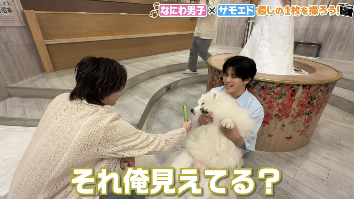 _idolshun's tweet photo. ⬅️道枝カメラ　　　　　　りゅちぇカメラ➡️

道枝さんなかなかのカメラセンスでやばいｗｗｗｗｗｗカメラマン間違えた言われてて不憫ｗｗｗｗｗｗ https://t.co/88YwHd4Ixn