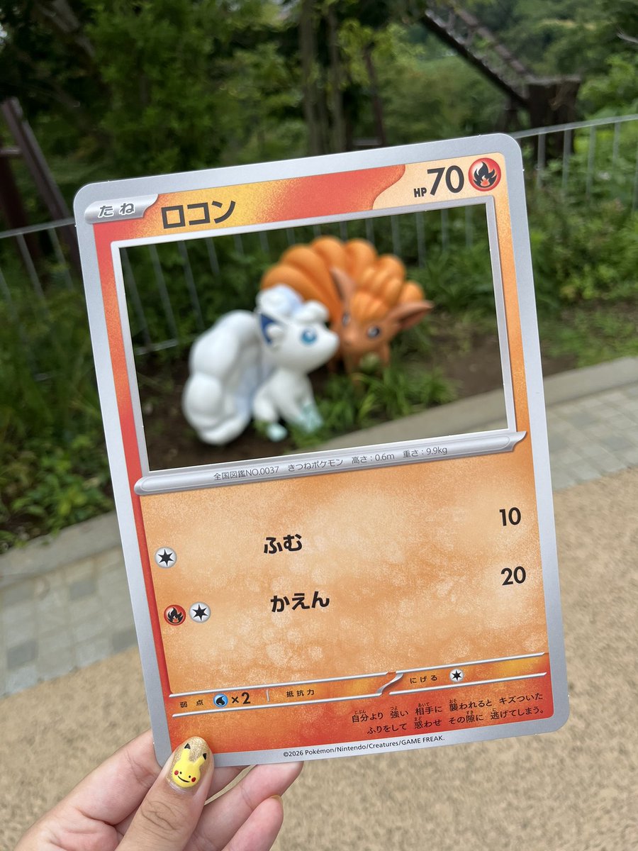 shrn115's tweet photo. ポケパーク、またすぐに行きたい⚡️ https://t.co/olTj1656sV