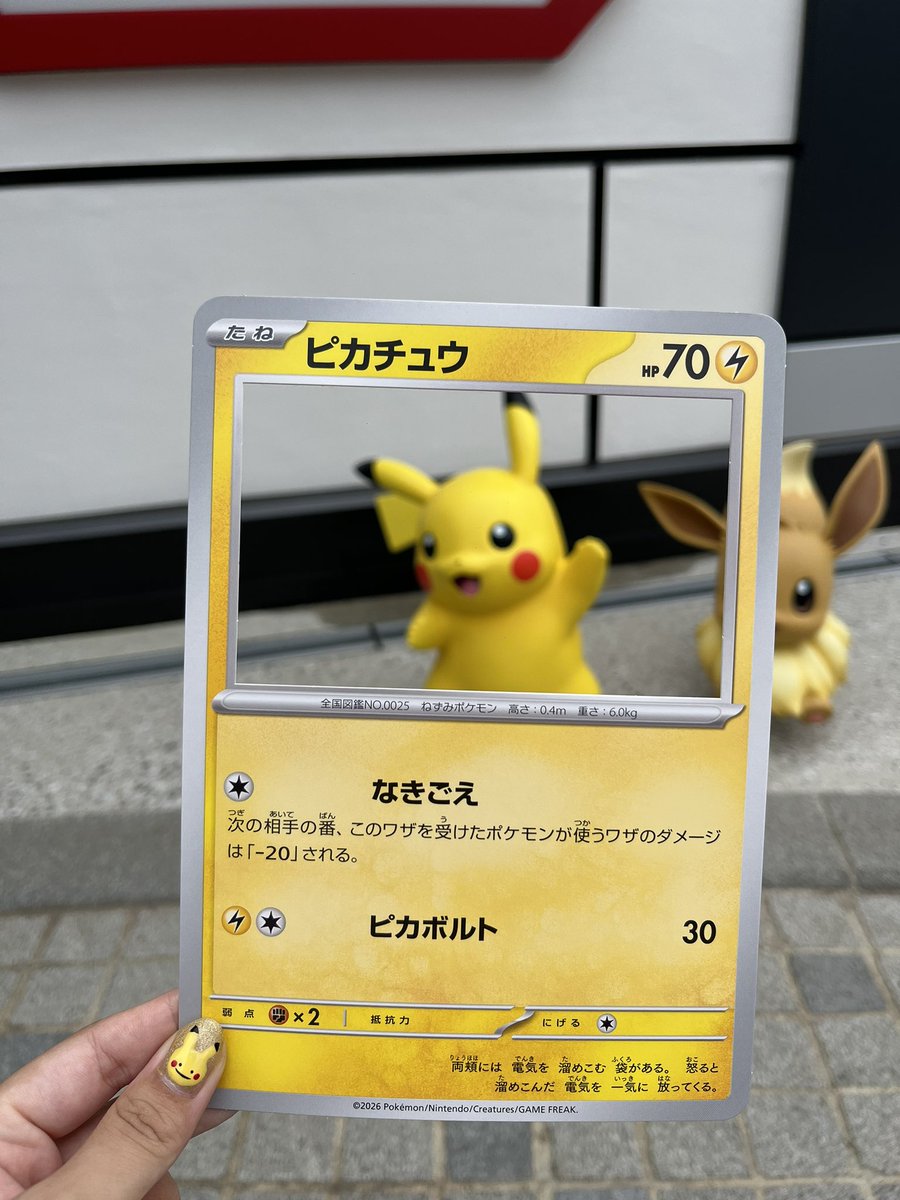 shrn115's tweet photo. ポケパーク、またすぐに行きたい⚡️ https://t.co/olTj1656sV