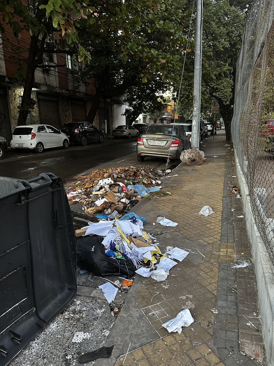 ivanarturog's tweet photo. Alberdi y piribebuy ! Una vergüenza .. podrían pasar a limpiar @luisbello_asu  .. si hay que multar a los responsables o propietarios .. deberían pero no podemos vivir o transitar en ciudades así  ! Capital de República https://t.co/oTCA76rMP7
