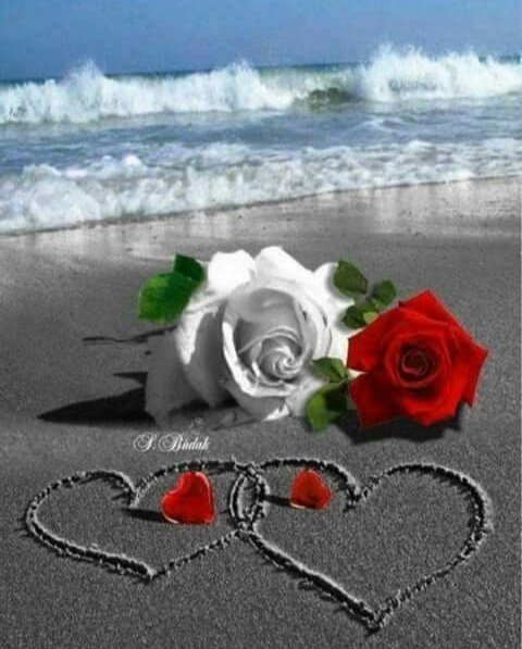 Hrrruj's tweet photo. @Sabgul7788 خاک زادوں کــے مسائل تو, بہت ہوتے ہیں
بات کرنے سے مگر, تخت نشیں روکتے ہیں

ہاتھ سے پونچھ رہـے ہو, مرے آنسو لیکن
ایک دریا کی گزر گاہ, نہیں روکتــــے ہیں

#اردوقومی_زبان https://t.co/O22wGKsDGl