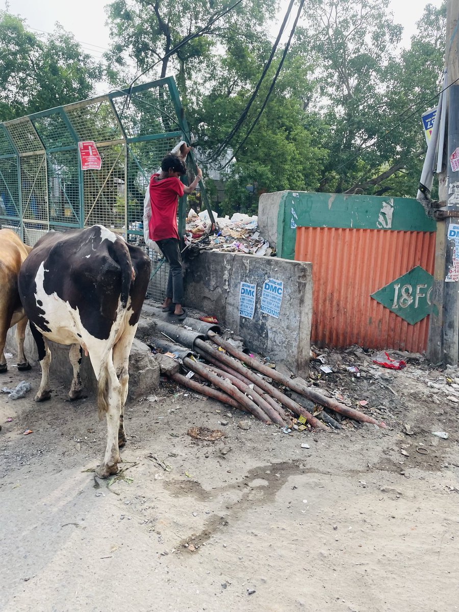 s9873's tweet photo. @gupta_rekha @narendramodi @PMOIndia @HMOIndia @AmitShah @NitinNabin @BJP4India @BJP4Delhi #AshishSood
#RekhaGupta
@ashishsood_bjp @gupta_rekha @MCD_Delhi  
This is the situation in Ashish Sood Constituency Pathetic https://t.co/0gLTZRwNQH