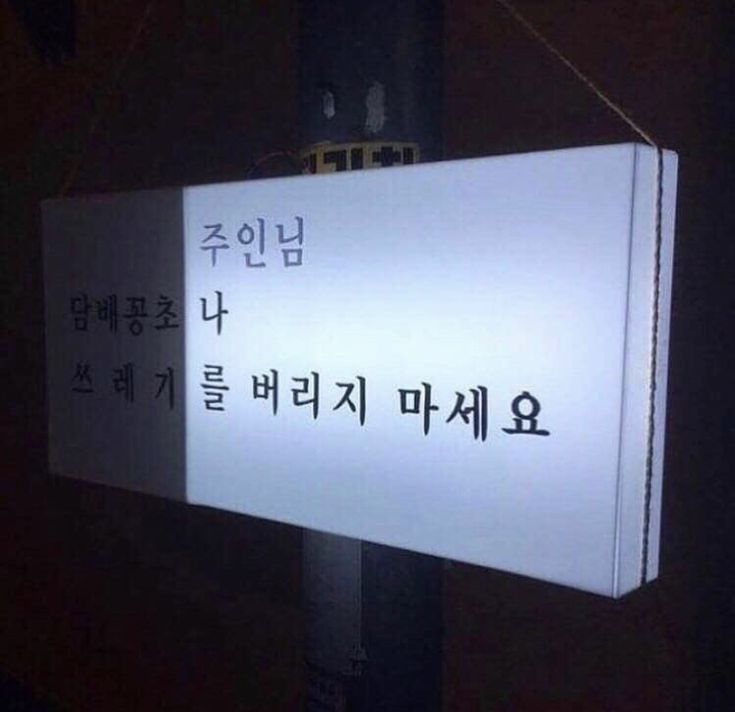 anxkz_s's tweet photo. ` 흔적 남기면 결 비슷한 분 찾아갑니다
  트친들 인알해줘 //
  #에세머트친소 #에세머_트친소 #겹친소 https://t.co/dyBlJfbsBq