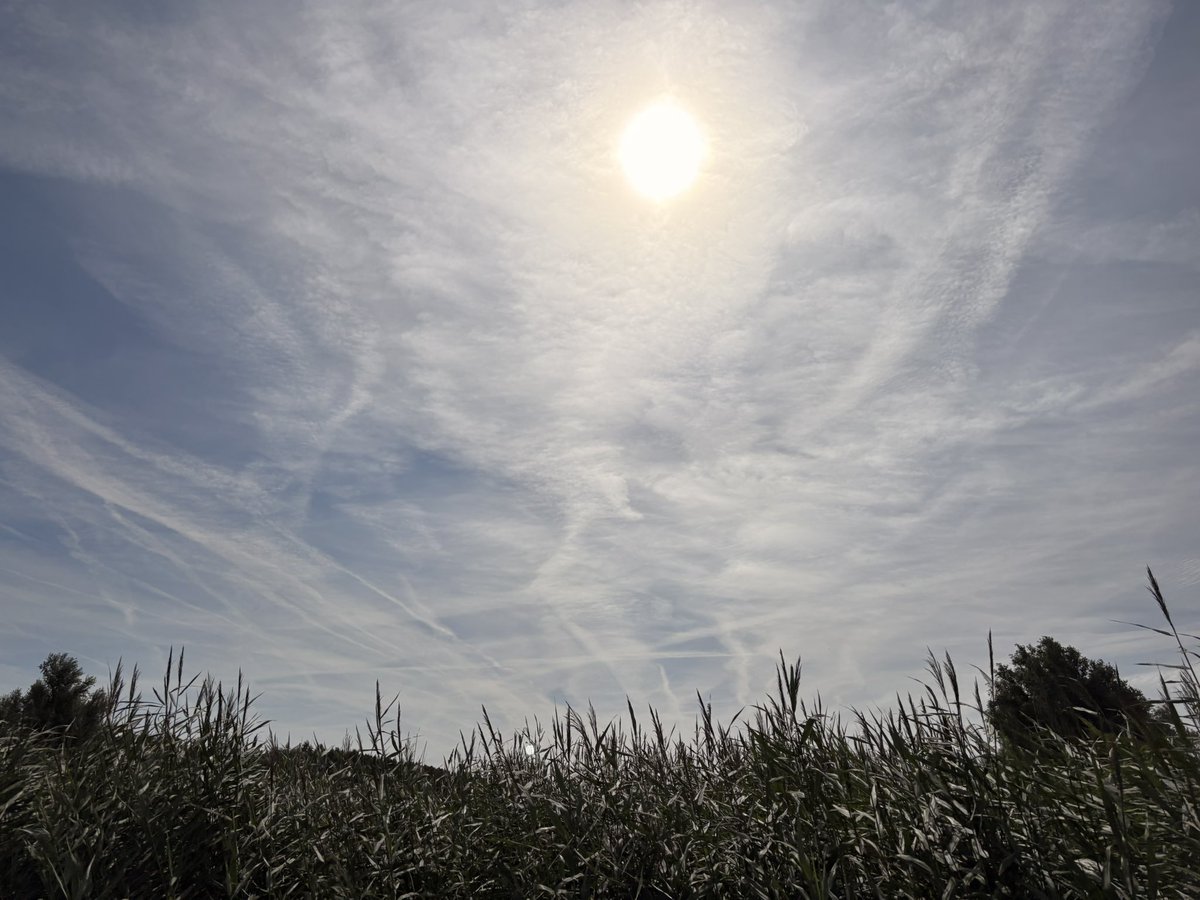 SaskiaHeijden's tweet photo. Elke weerman en weervrouw die dit sluierbewolking noemen, zouden aangeklaagd moeten worden wegens desinformatie en het verspreiden van nep nieuws. https://t.co/kfIBWBY5No