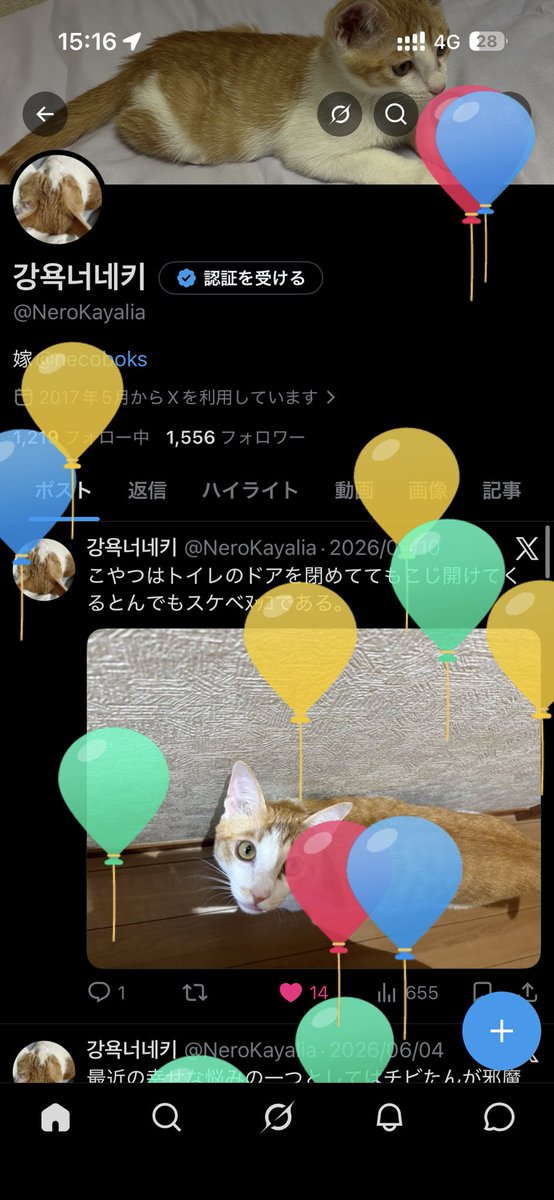 NeroKayalia's tweet photo. すっかり忘れてた24歳…だんだんアラサーって言われるようになるの辛い🥹 https://t.co/A60xrXlfsK