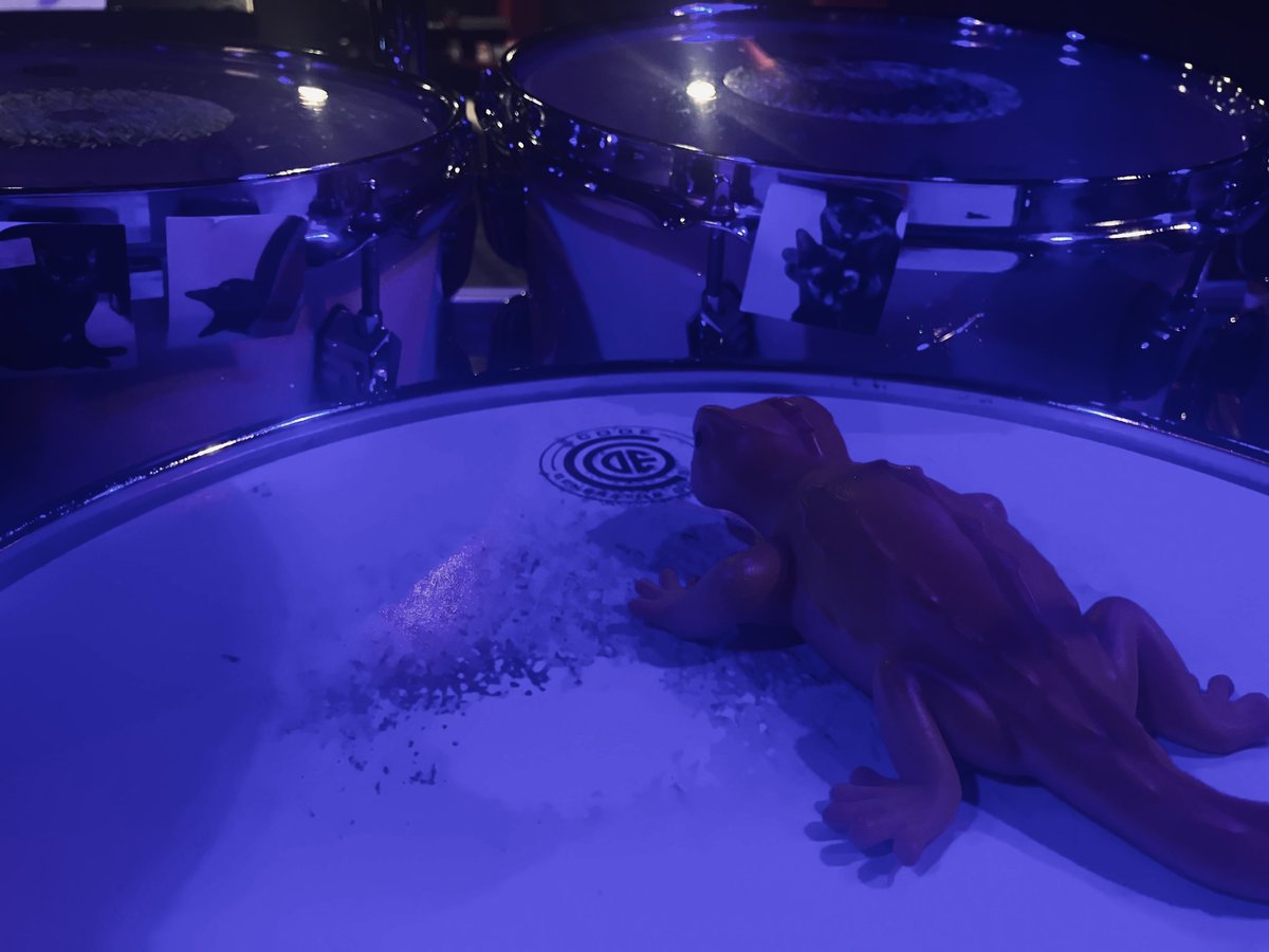 めぐちゃん🥁 tweet media