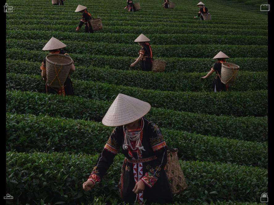 iaxpluto's tweet photo. Thomas闭上眼睛倾听，待她说完后，他握住她的手，轻声说道：“她就在这里。在微风中，在海浪里，在灯塔的光芒中。她从未离去，也将永远守护在这里。”秋日的暖阳洒在草地上。 https://t.co/a5J6qnBvY7