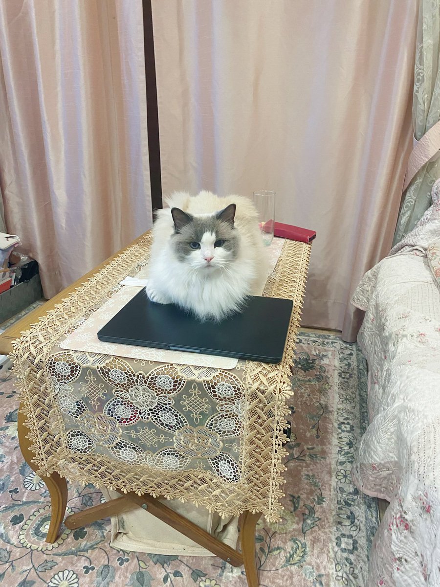 i321z's tweet photo. PC取られた https://t.co/8tMcJK5Kwr