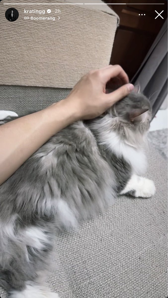 meeningroutin's tweet photo. LAH NOAN BANG?????? WKWKWKWW ngapel lu??? #tingmeen https://t.co/W4PJKbXhWa