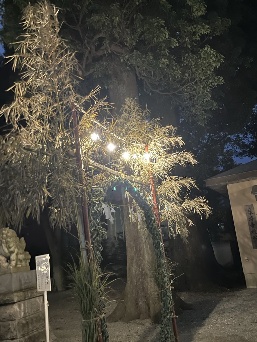 spicebbc1's tweet photo. 誘っていただき
夜の氷川神社
#氷川神社
#相模原 https://t.co/F2yfm9HKtM