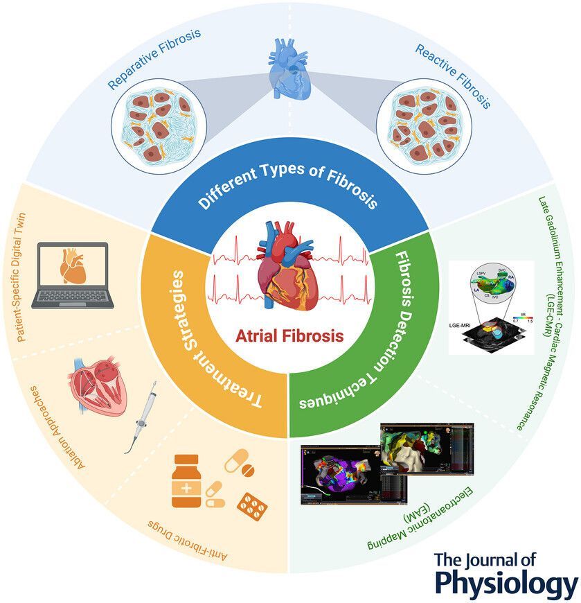 Journal of Physiology tweet media