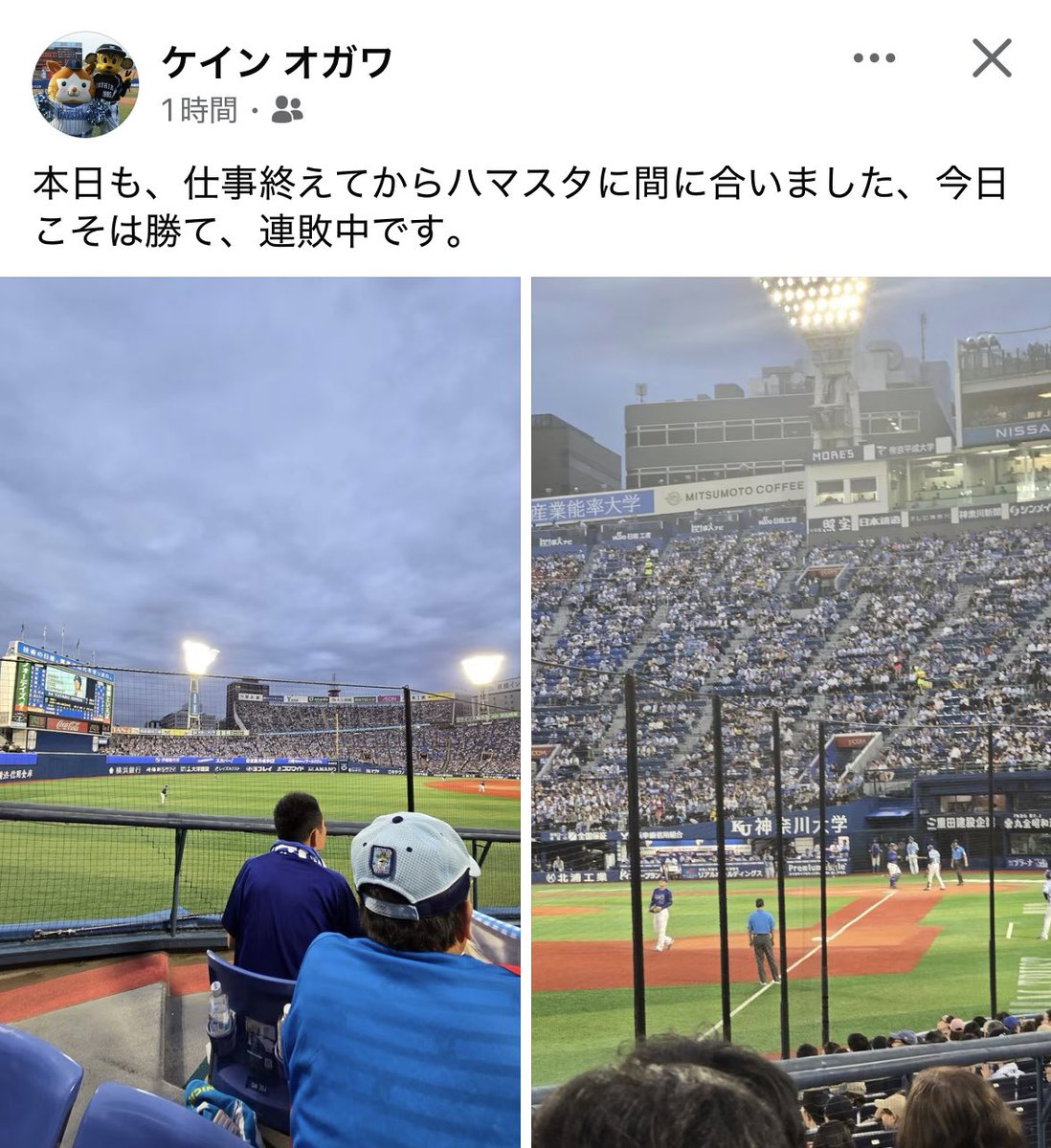 2020ssp's tweet photo. こんばんは🌆
ケインオガワさんより
#大和市超菜野人プロジェクト
#JAさがみ https://t.co/k3aq8NWY3h