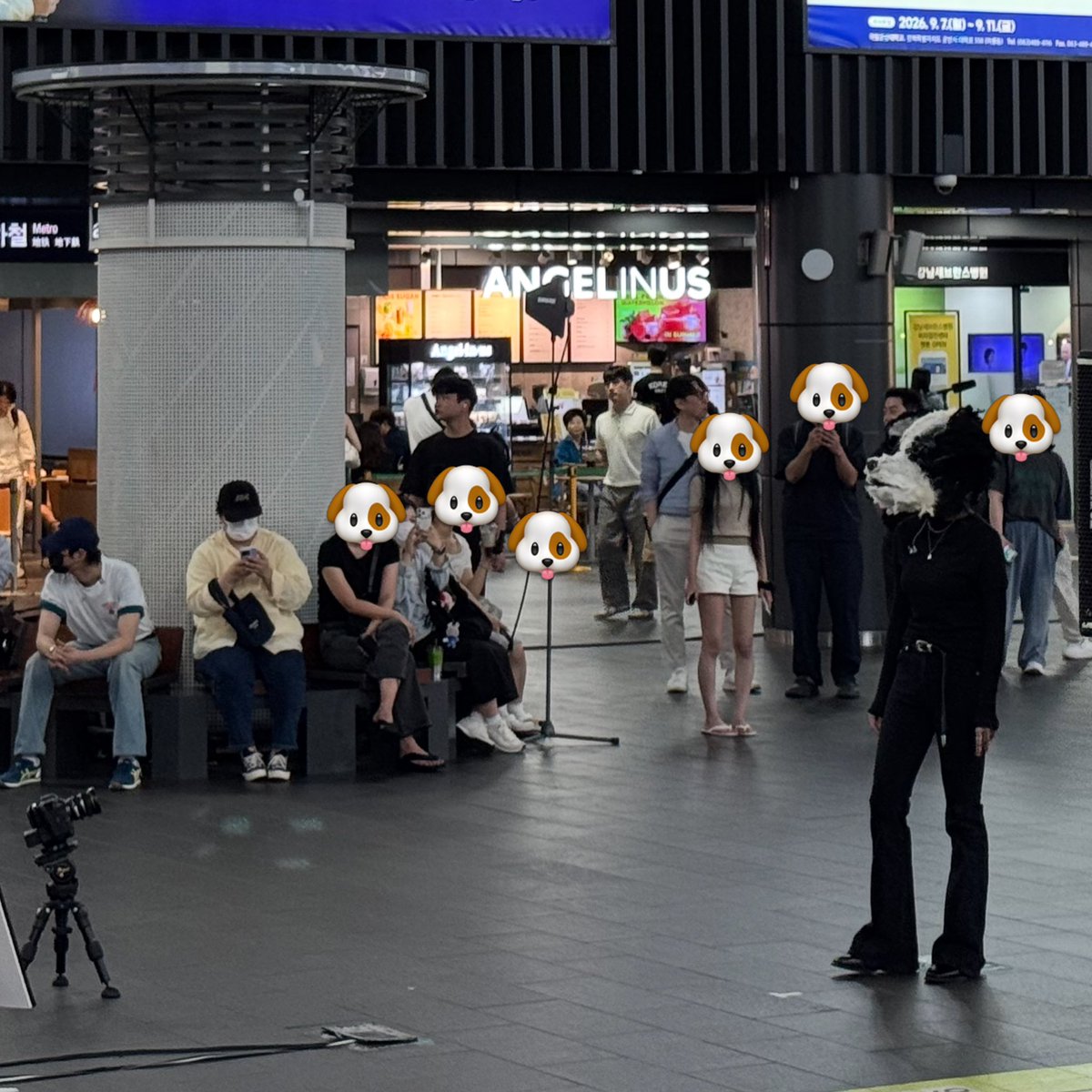 meungupdates's tweet photo. 260707 artist_eunji instagram update

“I’ve finally become a puppy🐶
At the train station where I greeted each day and experienced moments of both happiness and regret, seeing that familiar place again with a new heart and a fresh perspective
made it feel even more nerve-racking.

@.from_youngk I had fun! Now let’s get to work😛”

#정은지 #JeongEunji #Eunji 
@Apinkjej @JeongEunJi_X