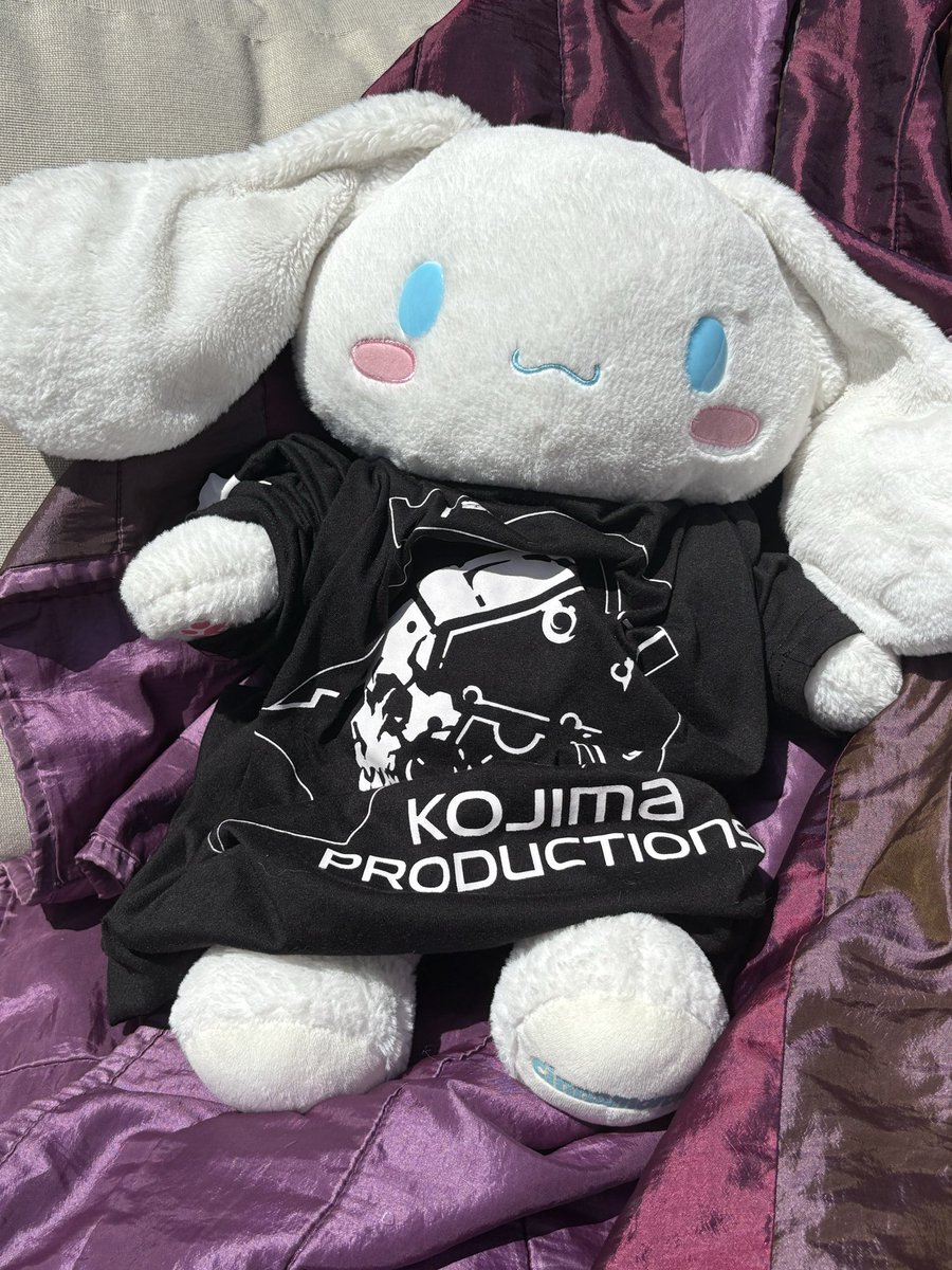 sanriodaily's tweet photo. when the merch is sold out in your size, but you still wanna support your fave https://t.co/4cNv67EDNl
