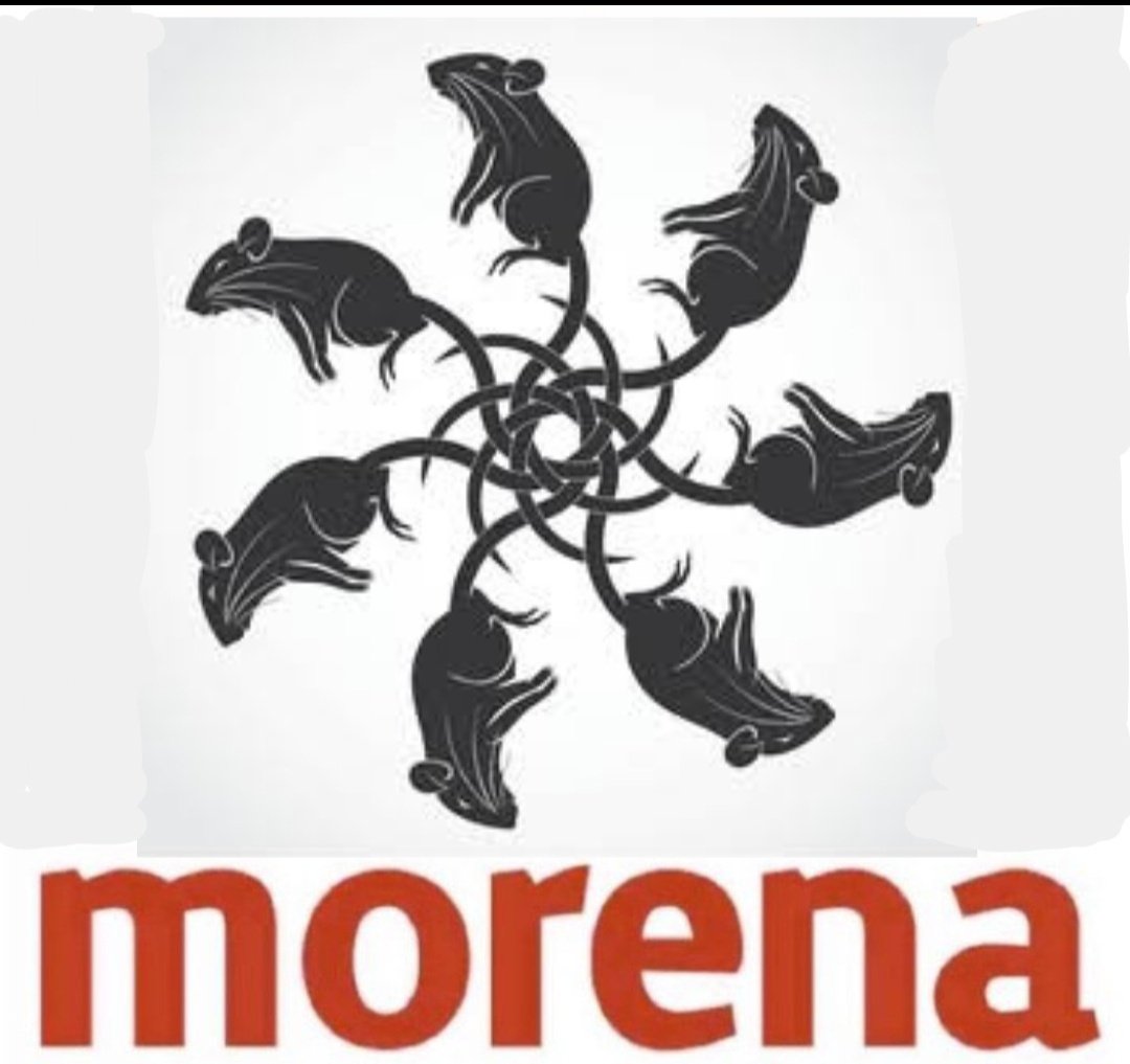 JpSuis's tweet photo. @GARCIPAVON Otro ejemplo que morena es un nido de ratas. 
#MorenaCuevaDeRateros https://t.co/nSEcS9LlWl