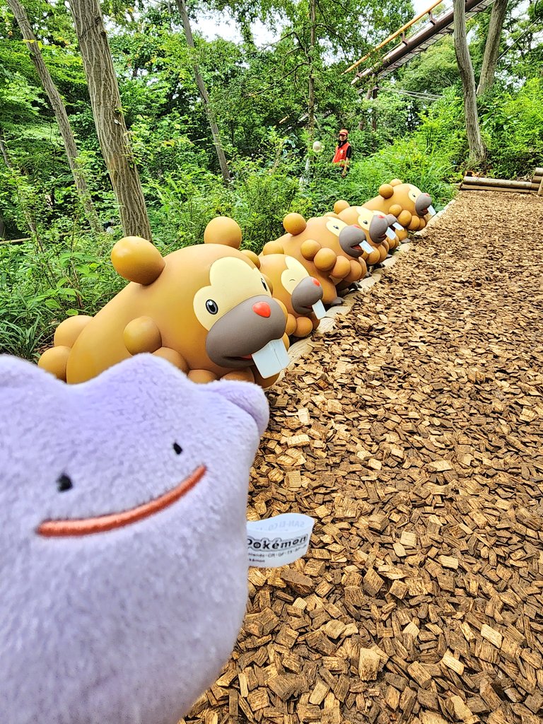 cabotin222's tweet photo. とってもとってもサイコーすぎた😭
特定の推しポケおらんのでメタさん連れてin！
スマホの充電は足りなくなるまで撮影しすぎた💥 https://t.co/PKghMSBxaM