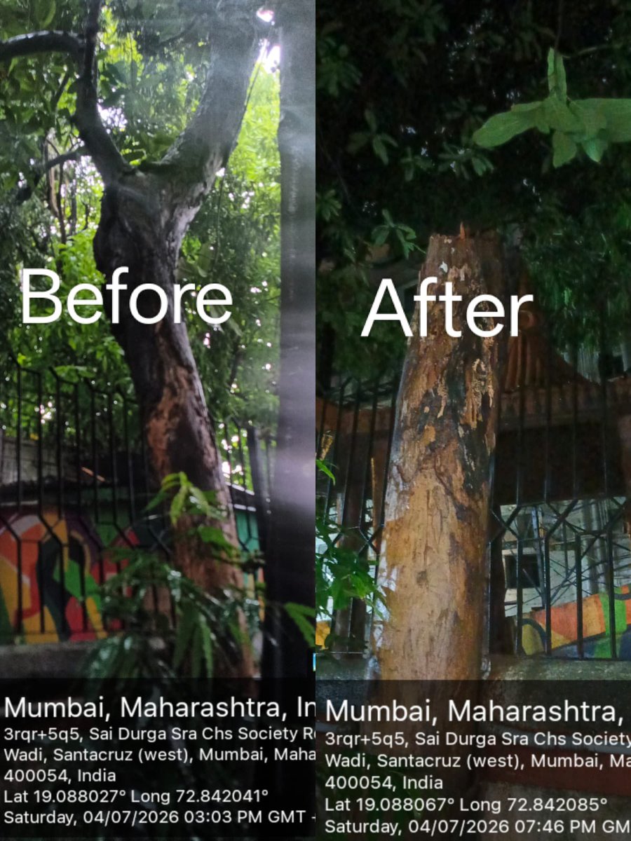 yuvasenabandraw's tweet photo. We would extend thanks to @mybmc , @mybmcWardHW , @MumbaiPolice , @Santacruz_PS for the continuous support throughout https://t.co/OeWKImufFp