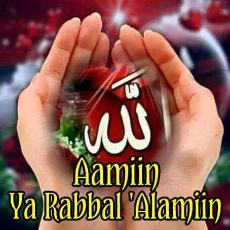 DiJe1353's tweet photo. @maljafeiri @maljefairi @sidrachain Sangat bersyukur kehadiratNYA.
semoga 1 KOIN  SIDRA bisa tembus $100 - $150 https://t.co/2WPdvGCZPL