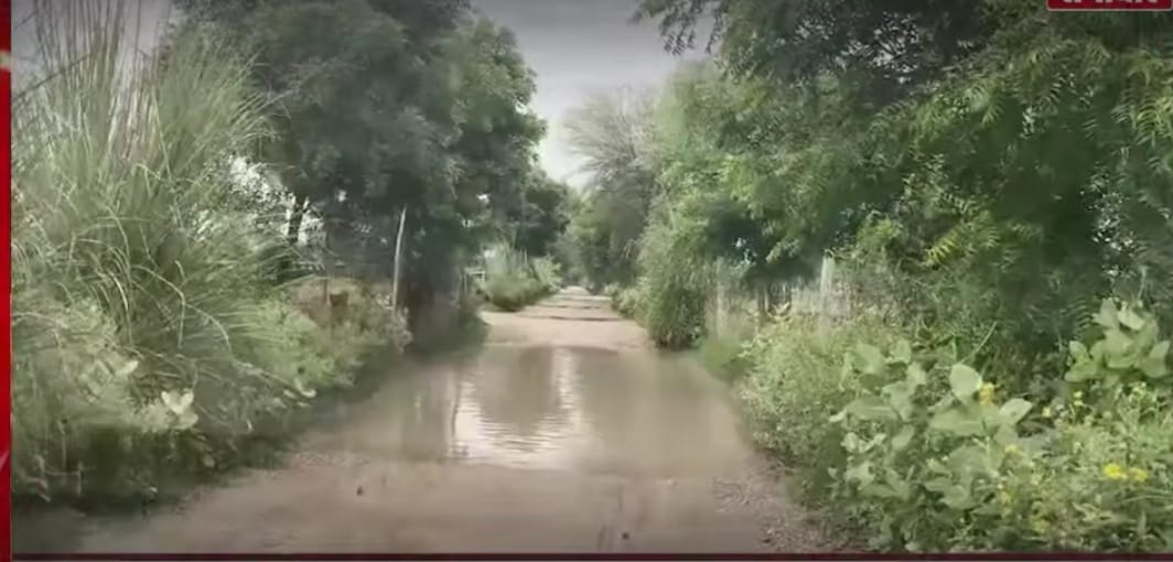 Anni6778's tweet photo. ग्राम पंचायत बुगालिया (Kalwar), जयपुर शहर से कुछ ही दूरी पर, लेकिन सड़कों की हालत बदहाल है। घर से निकलना तक मुश्किल हो गया है।
ग्रामीणों ने अल्टीमेटम दिया है-अगर जल्द सड़कें नहीं सुधरीं, तो बड़े स्तर पर धरना होगा।
चुनाव के समय बार-बार आने वाले MLA और MP अब कहाँ हैं?@BhajanlalBjp https://t.co/WeCv0XtM6x