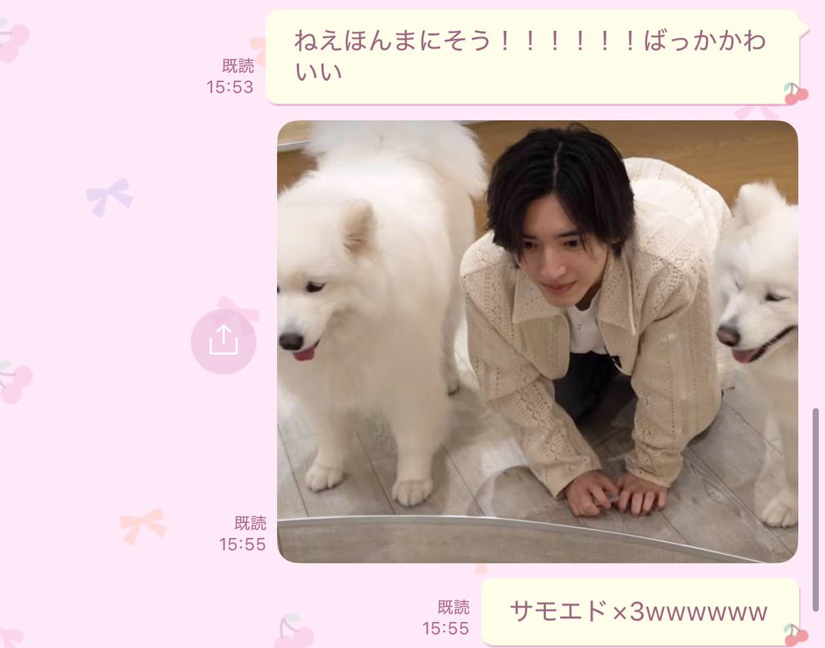 shunkundake's tweet photo. サモエド×3言うてたらwwwwwwww https://t.co/hmRf92OGU0