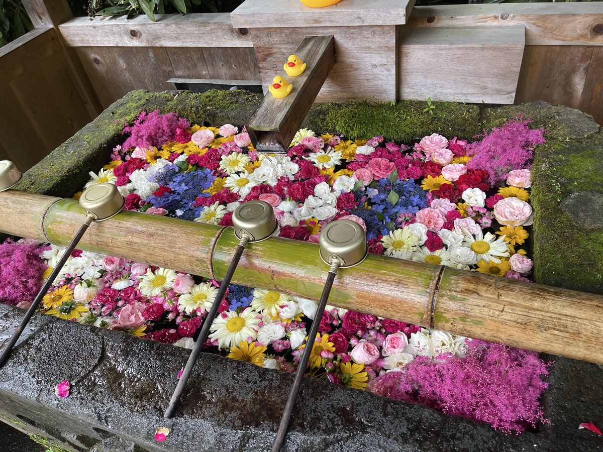 1014Pecha's tweet photo. #白根神社

神社に着くまで雨が降ってましたが、いつも通り...？ 雨が、やんでくれました。
やまない雨はない。降った雨のたまり場にgo https://t.co/oEzzFVB6DS