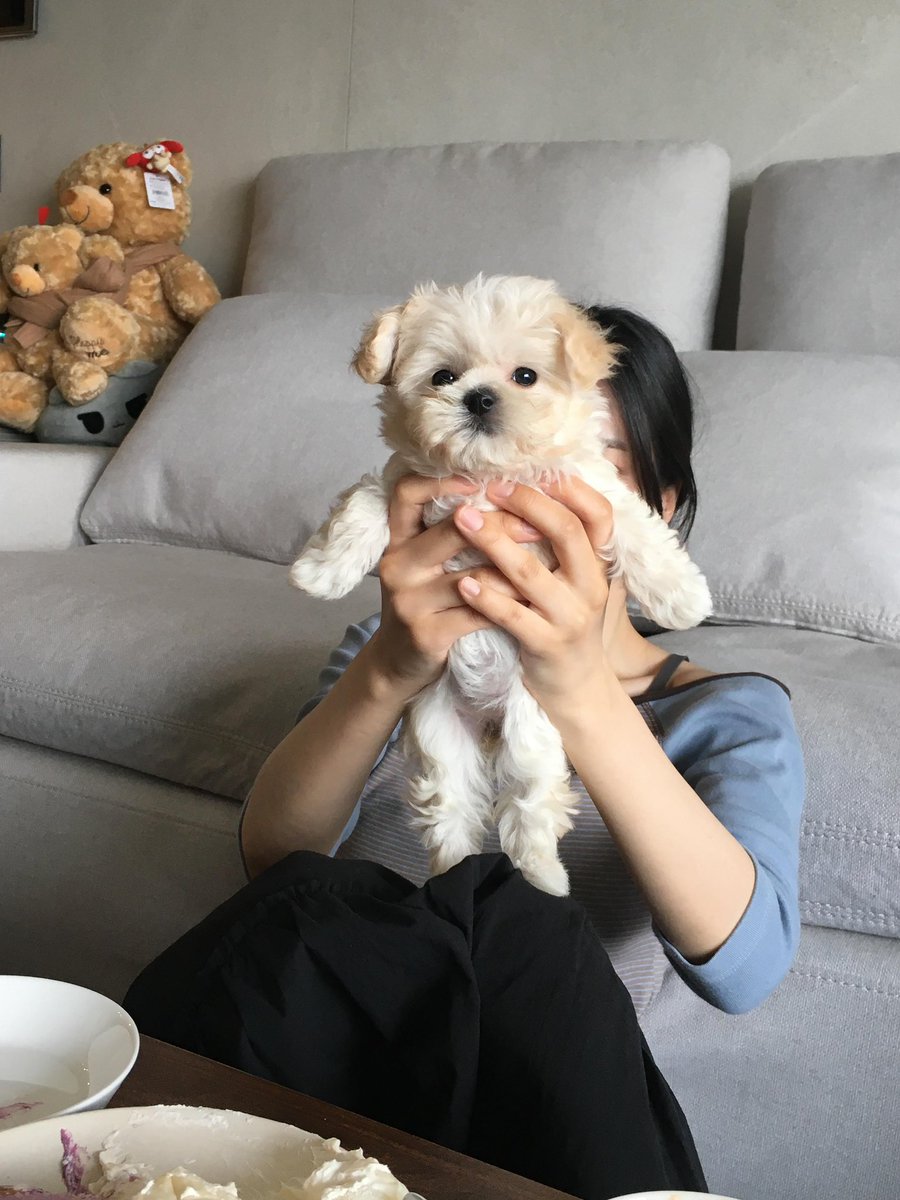 ppori01's tweet photo. .
            다른언니가안았을때(얌전)                  터볼때(멀바.) https://t.co/kQrUIx1CJO