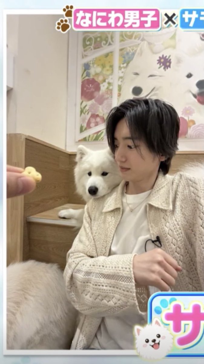 Kumichi_728's tweet photo. 優勝間違いなしですねぇこれは
ワンコとワンコとワンコ

#道枝駿佑 https://t.co/1ASUZ167qo