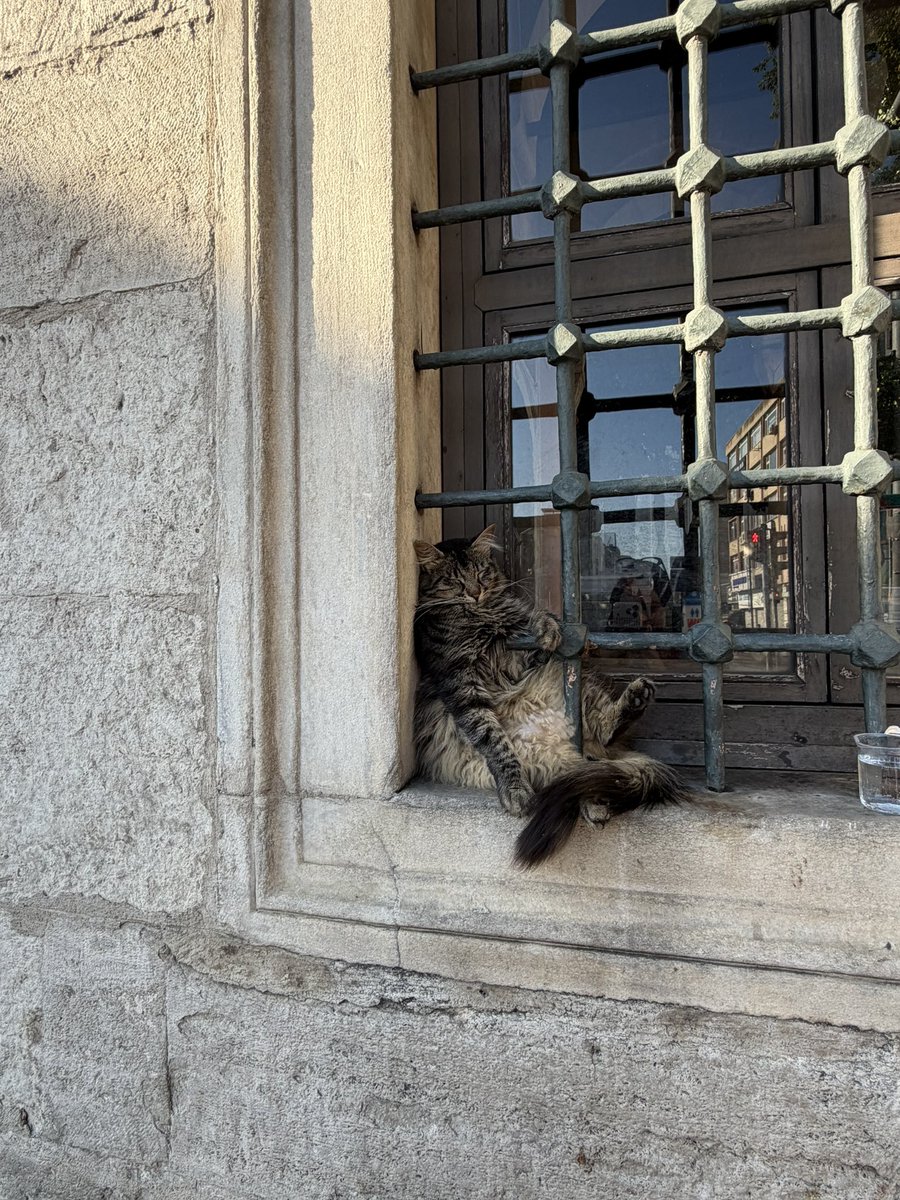 moryanimm's tweet photo. Şuna bir bakar mısınız ya https://t.co/R2WP9d3ifG
