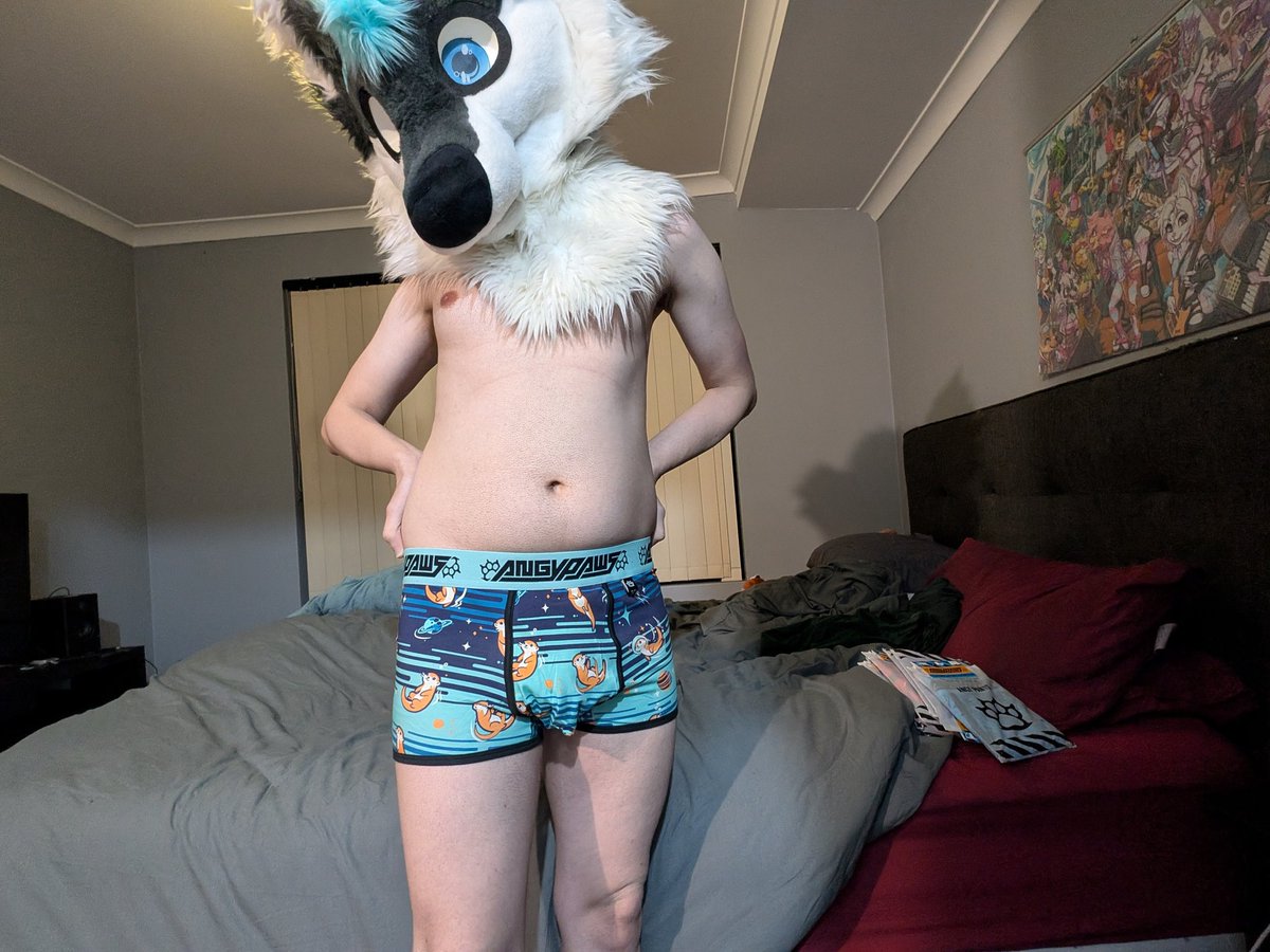 PupLuca_au's tweet photo. Got a bunch of new underwear from @AngyPawsAD. I love how it looks. https://t.co/zZN5td399P