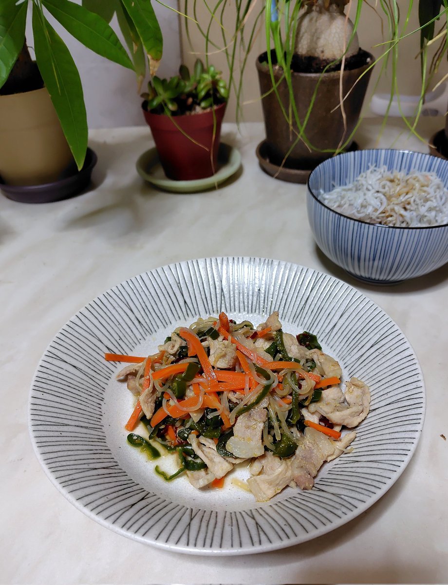 kgonn02's tweet photo. 今夜もHappy Cooking！
今日は、豚肉としらたきの甘辛炒めを作りました😃
ニンジンとピーマンも入ってます。
味付けは、醤油、砂糖がメイン。
唐辛子を少し多めに入れました🔥
いただきます！ https://t.co/l595UkKZLO