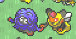 PokeDailyPost's tweet photo. I want what they have... https://t.co/URoSeNQZaR