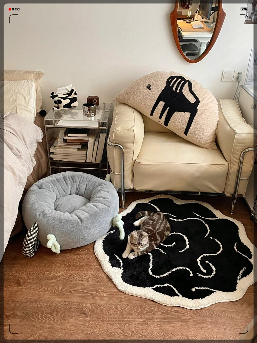 andybaumbach's tweet photo. Hey! Saw your new cat pic on the group chat—she’s adorable! Wanna grab coffee this weekend u0026 I can show you the cool cat rescue I visited last month https://t.co/NvO2jxvIsl
