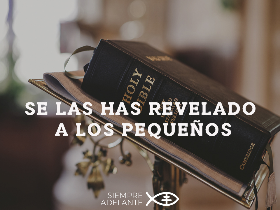 Archisevilla1's tweet photo. #EvangelioDelDía| Mt 11, 25-27. Has escondido estas cosas a los sabios y se las has revelado a los pequeños. https://t.co/UbjGV18qdI

#PalabraViva #SiempreAdelante https://t.co/oJ3stn5I5z
