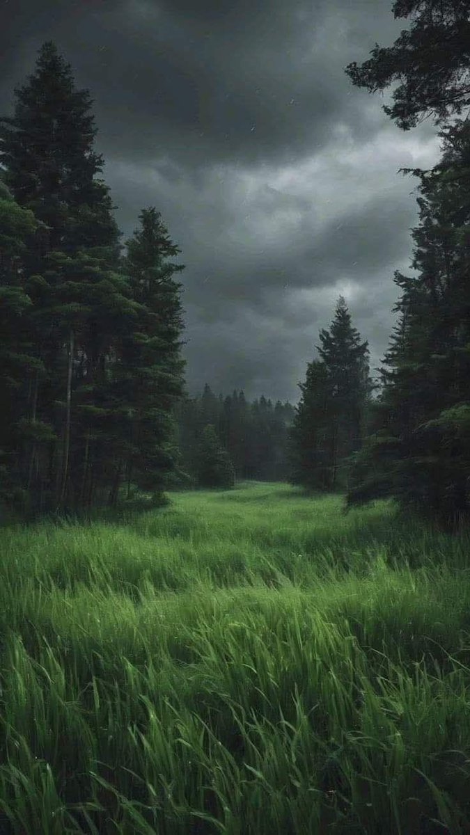 naturehealss's tweet photo. https://t.co/6jFkBuqPr0