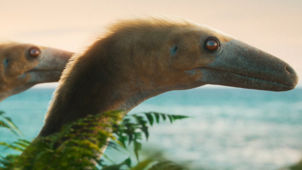 Koprolitos's tweet photo. “#Evolution”, nueva serie #documental de @BBCEarth presentada por el naturalista inglés @ChrisGPackham. Te lo cuenta @Carlosdino88:
▶️ https://t.co/ofEgKvRT8n
#paleontology #biology #documentary #EvolutionWithChrisPackham https://t.co/EG3PJHwUXa